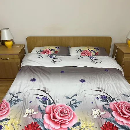 Apartment Garsoniera Brazda Lui Novac Craiova