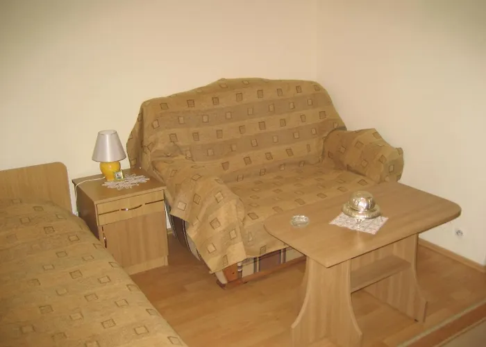 Garsoniera Brazda Lui Novac *