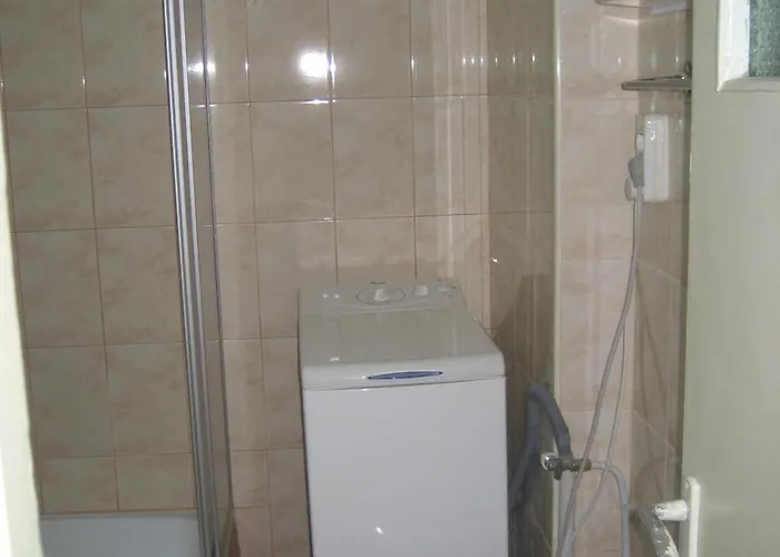 Garsoniera Brazda Lui Novac דירה